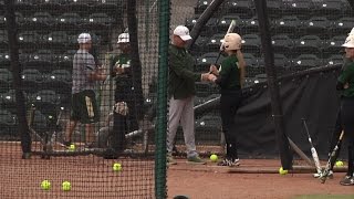 USF Softball: Season Preview