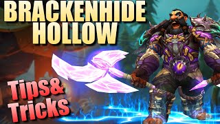 Enhancement Shaman | (Tips&Tricks) +15 Brackenhide Hollow | Dragonflight S4 M+