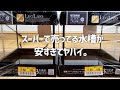 数百円の超激安水槽で超々綺麗なベタを2匹飼育します。#482【アクアリウム】