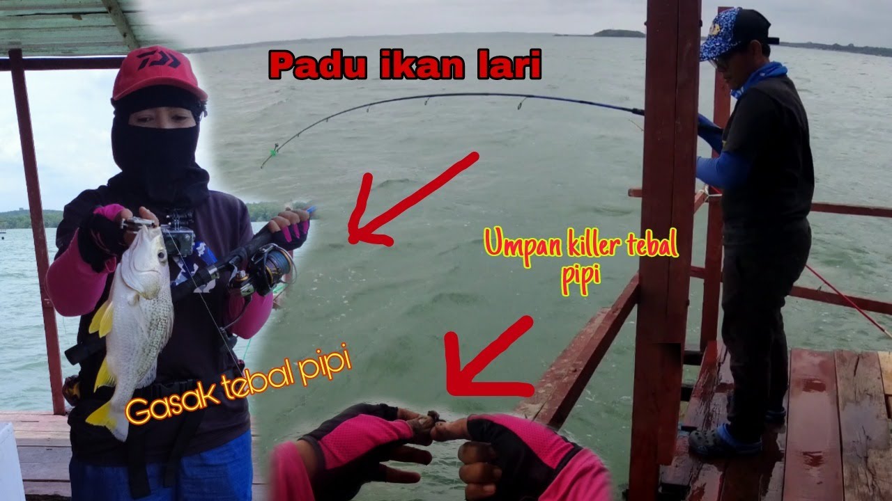 Gasak ikan tebal pipi di tukun Rakit Muara