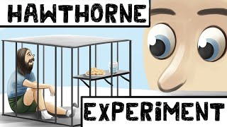 The Hawthorne Effect (Definition + Examples)