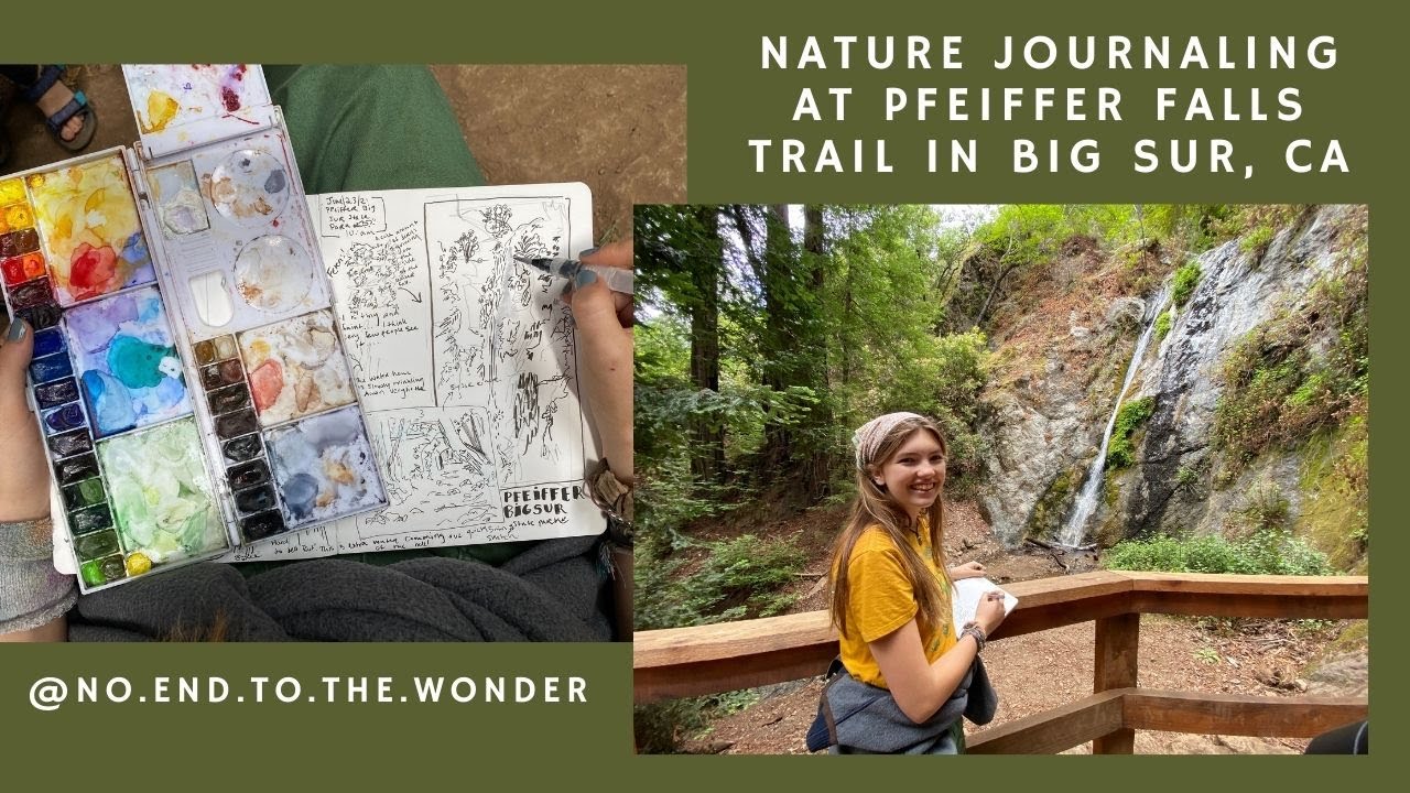 Hiking at Pfeiffer Falls Trail, Big Sur, California. Come nature journal with me.