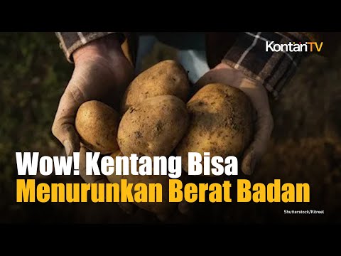 Kentang Dan Telur Rebus Untuk Diet