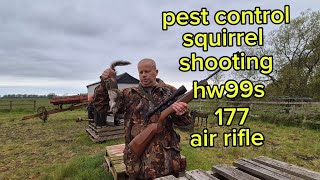 pest control on the squirrels hw99s 177