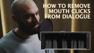 NoiseWorks VoiceAssist New Mouth De-Click Module Tested