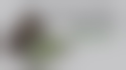 Android Hacking/TheFatRat