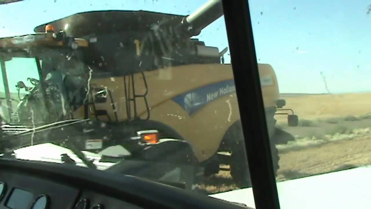 Slivka Harvest 2012 (Part 2)