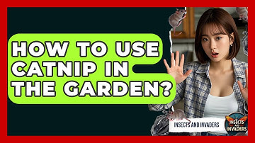 How To Use Catnip In The Garden? - Insects and Invaders