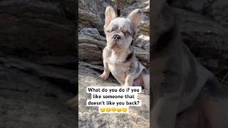 Be honest 🫵 #dog #memes #roblox #minecraft #kidsvideo #kidshorts #viralvideo #fyp #horror #humor