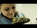 Dispensary Showcase: Caliva in San Jose, California