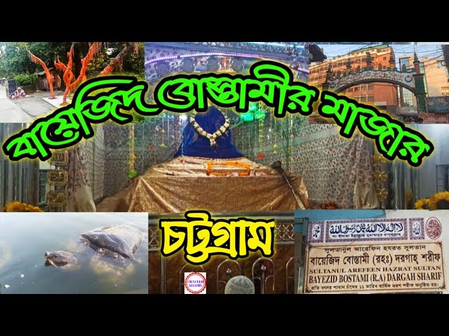 Oyoqlarini keng yoygan va qoli bilan mushukni ochgan qizning fotosurati Tabiatda yoshlar haqida jinsiy aloqa video