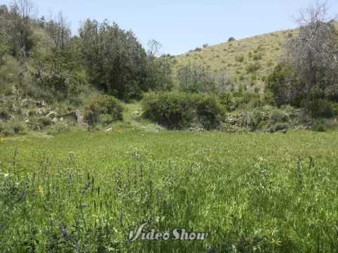 مناضر من شعب رحبان في صبح بللحمر 9 7 1435