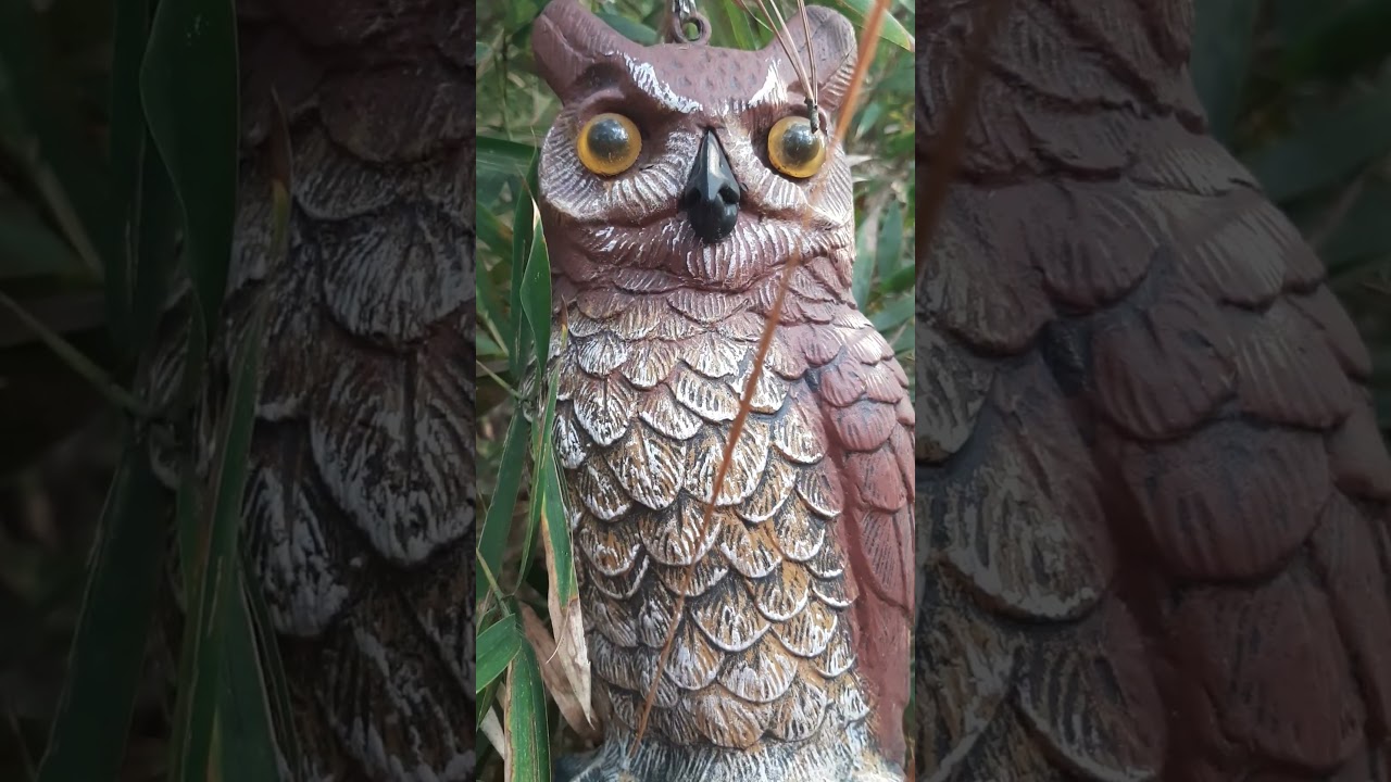 Fashion Show by bamboo & owl figurine || Forest woman - blossom like a rose