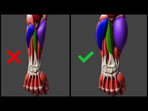 Only 5 Dumbbell Exercises You Need to Grow Massive Forearms | How To Grow Huge Forearms