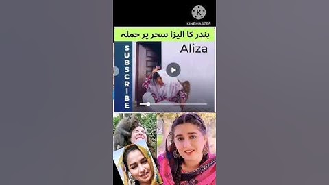 monkey attack on #alizasehar #villagelife #villagevlog #shorts