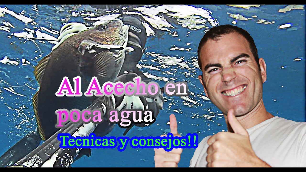 submarinas klaipeda Pesca Submarina Al Acecho...Técnica, Consejos, Experiencias...
