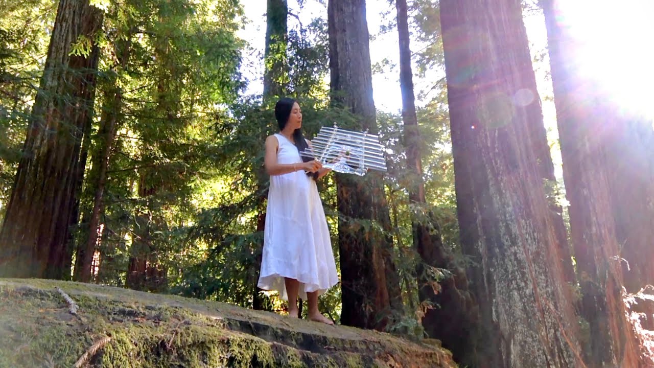 Song of the Redwoods