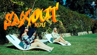 Nemj  Sax Out  Goat Vibes  visualizer