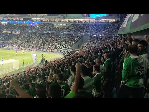 הצפוני בטירוף כל העיר מוכנה מכבי חיפה נגד יובנטוס קהל 