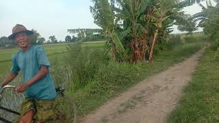 Keindahan Desa-desa Tersembunyi, Suasana Sawah