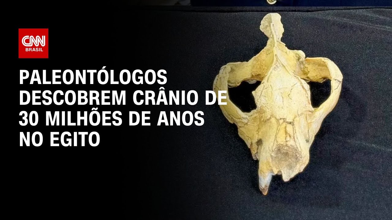 Paleontólogos descobrem crânio de 30 milhões de anos no Egito | CNN PRIME TIME