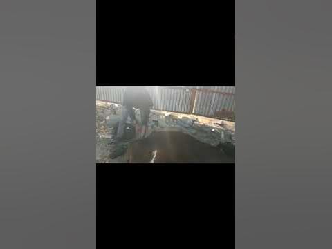 Animal rescue by animal ngo team - 896 | Animal ngo | cow 