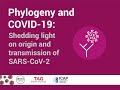 Phylogeny and COVID-19: Shedding light on origin and transmission of SARS-CoV-2