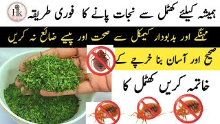 Khatmal Khatam Karne Ka Tarika Khatmal Bhagane Ka Asaan Tarika By Hareems Kitchen Menu