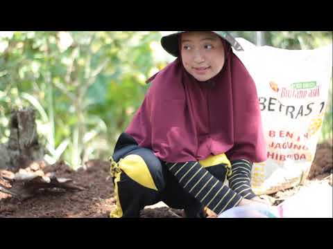 Video: Apakah kulit kacang baik untuk kebun?