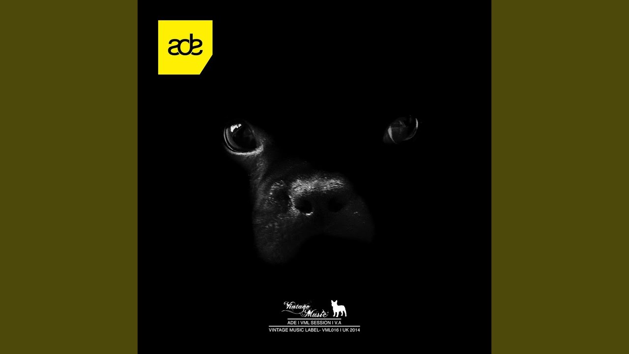 Regardez Wrong (Original Mix) sur YouTube Regardez Wrong (Original Mix) sur YouTube