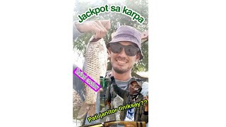Karpa(carp Fish) hunting with thailand crossbow..#fishing #crossbow #thailand #tiksay #catchandcook