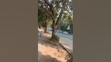 Ignou Solved Assignment BPC 2 2018-19