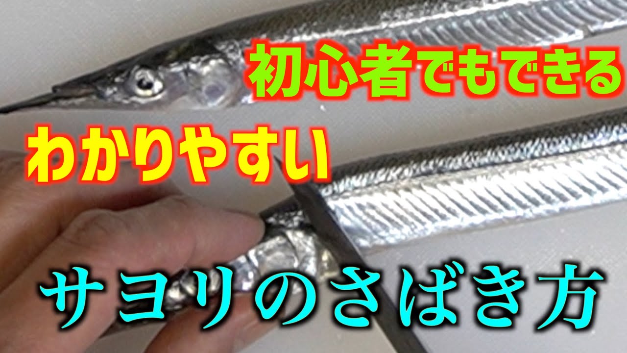 サヨリのわかりやすい捌き方