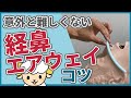 【実演つき】経鼻エアウェイの入れ方、適応、禁忌を解説