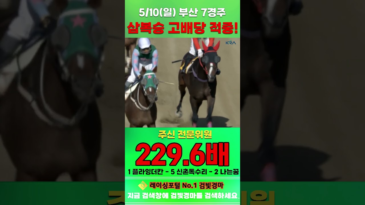 [부산 경마] 5월 10일 일요 7경주 주신 전문위원 삼복승 고배당 적중 #경마 #automobile #하이라이트 #horse #한국마사회 #korean #비트코인 #게임 #뉴스