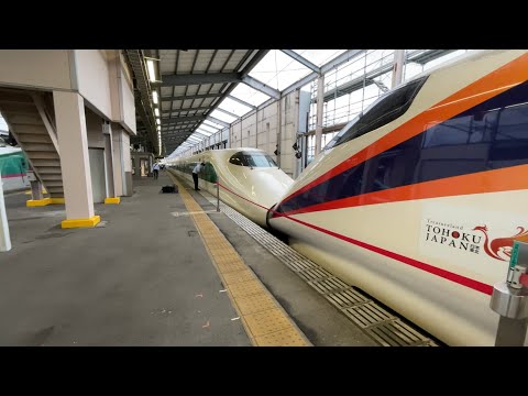 東北新幹線 那須塩原駅 E2系200系カラー＋E3系 到着