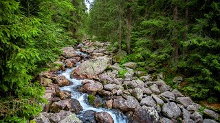 4K Relaxing Nature Sounds  | مناظر طبيعية مذهلة مع اصوات الطبيعة المريحة للاعصاب للتامل و الاسترخاء