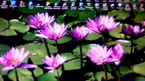 Windows XP Crazy Errors Video