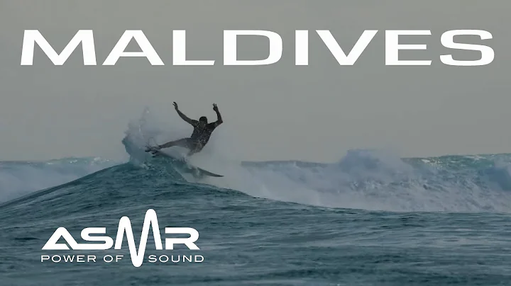 NEW! MALDIVES  (Shane Dorian, Taylor Knox) ASMR SU...