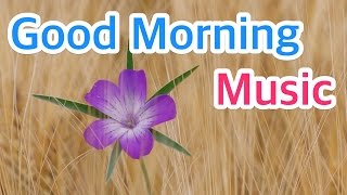 1 HOUR of Good Morning Guitar Instrumental Music to Wake Up with Bird Singing