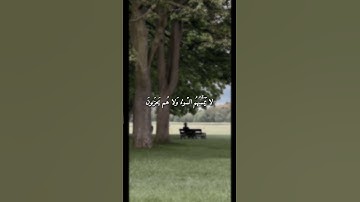 {وَيُنَجِّي اللَّهُ الَّذينَ اتَّقَوا بِمَفازَتِهِم}|عبد البديع غيلان|سورة الزمر #قرآن #موعظه