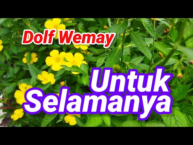 Untuk Selamanya Dolf Wemay Jangan Sampai Ada Tangis Dan Penyesalan Di Antara Kita Berdua class=