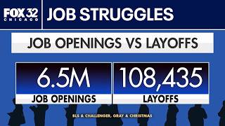 Job market shows warning signs as AI fuels economic uncertainty