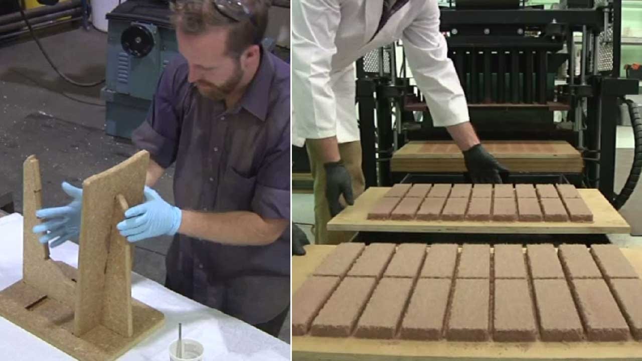 Furniture made of fungus YouTube