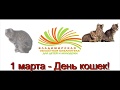 1 марта веди кота в библиотеку.  для  глухих.