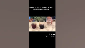 Dhambi Na Damu Ya Yesu Kristo 