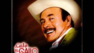 LALO EL GALLO  --- EL HUIZACHE chords