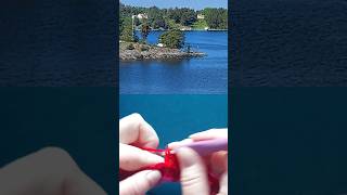 Crocheting on a Cruise Ship