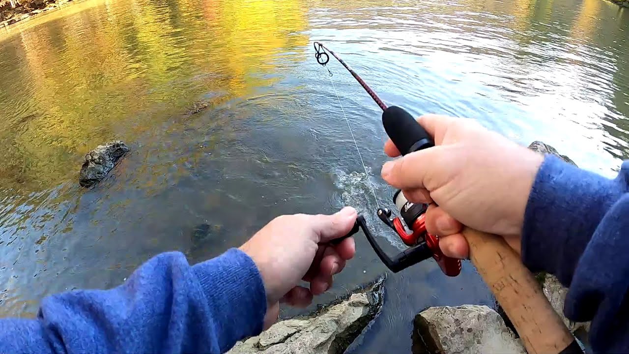 Ugly Stick Dock Runner at the Dam! 