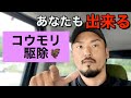 【コウモリ駆除】あなたも出来る対策方法はまだありました！